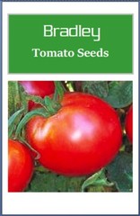 Bradley Tomato Seeds | NON-GMO | Heirloom | Fresh Vegetable Seeds