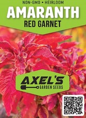 Red Garnet Amaranth Seeds | Heirloom & Non-GMO | Fresh Garden Seeds