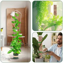 4PCS Plastic Moss Poles for Climbing Plants 24 inch Indoor Plant Support Stakes