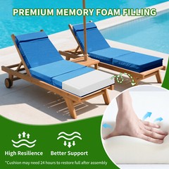 NAIZEA Chaise Lounge Cushions Outdoor Set of 2 Waterproof with Removable Cover