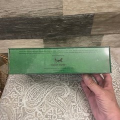 Juliette Gordon Low Birthplace Mailbox Green Tin Eagle Girl Scouts Collectible