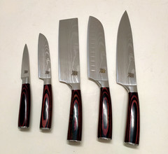 Takeshi 5-Piece Japanese Carbon Steel Knife Set + FREE Stainless Steel Holder