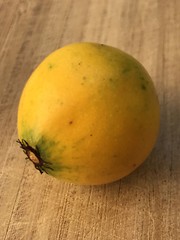 Lemon Drop Mangosteen Garcinia Intermedia Yellow Tropical Fruit Tree Plant