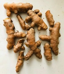 10PCS TUMERIC ROOTS FOR PLANT-CURCUMA LONGA-ARTHRITIS PAIN,MAKE TEA,COOKING