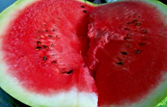 50+ SEEDS SUGAR BABY WATERMELON SUPER SWEET FRUIT HEIRLOOM NON-GMO MELON USA