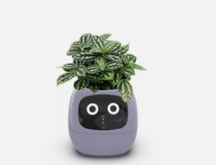 Ai Smart Planter Smart Plant Care Pot Ai Chips 7 Sensors 49 Expressions