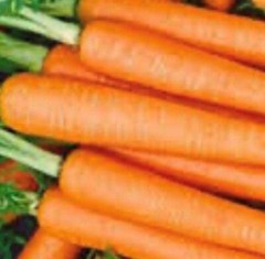 Tendersweet Carrot Seeds | NON-GMO Carrot Seeds | Fresh Heirloom Garden Seeds
