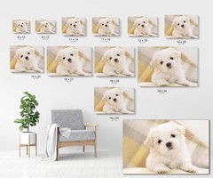 Custom Canvas Printing HD Print Your own Photo on Canvas Framed 1.25″ Thickness