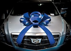 CarBowz Magnetic Velvet Car Bow Fully Assembled Large 4 ft Red Blue