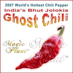 Ghost Pepper Powder 1kg | Super Hot Ghost Chili – Quality Guaranteed!
