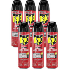 6 Cans Raid Ant & Roach Killer Spray Cans 17.5 oz (6-pack)