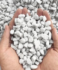10QT Organic Perlite Horticultural Soil Amendment for Plants & Drainage