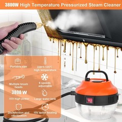 3800W High Pressure Steam Cleaner Household Car Steam Cleaner Cleaning Machine