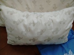 My Pillow Set of 2 (never used)