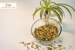 Organic Way Green Cardamom / Hari Elaichi Cut & Sifted – Kosher & USDA Certified