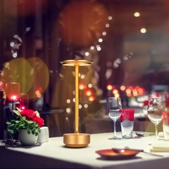 Cordless LED Touch Sensor Table Lamp Rechargeable Dimmable Bar Desk Night Light