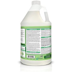 Disinfectant Concentrate and Odor Eliminator,1 Gallon, Original Eucalyptus
