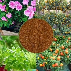 Dry Horticultural Molasses Powder, Indoor/Outdoor Garden Plant Soil Amendment