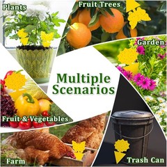 48PCS Sticky Fruit Fly Traps, Fungus Gnat Killer Trap use Indoor Outdoor