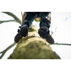NOTCH GECKO STEEL TREE CLIMBING SPIKE SET 41150 – OPEN BOX
