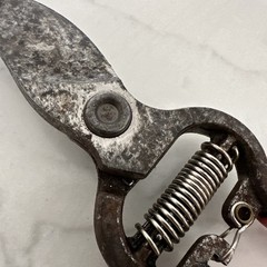 Vintage Corona BP 3160 1113V Standard Hand Pruning Shears