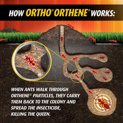 Ortho Orthene Fire Ant Killer1, Kills Queen, Destroys up to 162 Mounds, 12 oz.