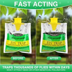 outdoor disposable fly traps to keep outdoor ranches free from annoying fly