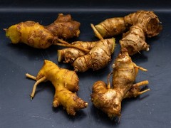 2 Shampoo Ginger Rhizomes (Zingiber Zerumbet) Awapuhi Kuahiwi for planting
