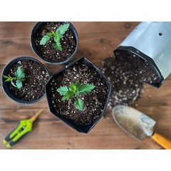 Ocean Forest 40 Lbs. 6.3-6.8 Ph Plant Garden Outdoor Potting Soil Mix Gardening