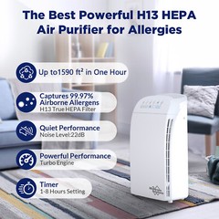 Home True HEPA Air Purifier Large Room Air Cleaner for Allergies Smoke Mold Odor