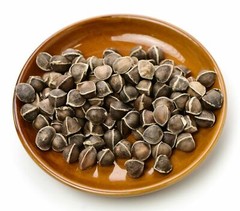 800 Moringa Oleifera Seeds 8 oz. WINGLESS Fresh Organic Semillas de Moringa Tree