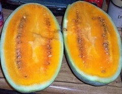 50 TENDERSWEET ORANGE WATERMELON Citrullus Lanatus Fruit Melon Seeds