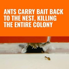 TERRO Liquid Ant Bait Ant Killer 6 Bait Stations 2 Packs