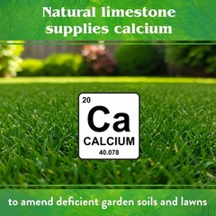 Down to Earth Organic Garden Lime Calcium Carbonate, 5lb