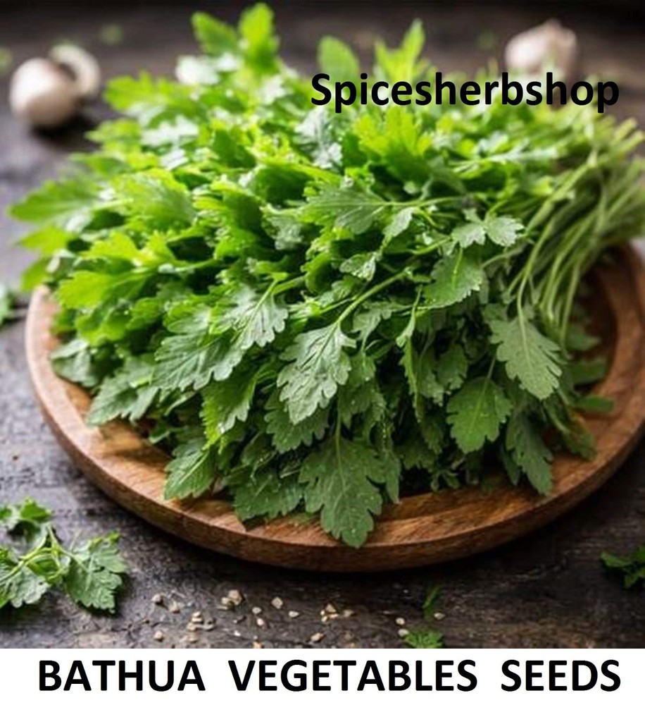 Natural Bathua Seed for Planting | Chenopodium Seeds | Lamb’s Quarters