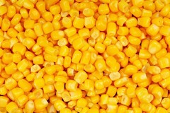 60 YELLOW CORN EARLY ‘XTRA SWEET’ Zea Mays Vegetable Seeds *Flat S/H