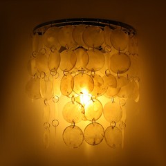 9.45*11.02in Wall Mount Light Sea Shell Shape Lighting Fixture Wall Sconce 110v