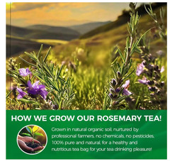 60 Count Premium Rosemary Leaf Tea Bags – 100% Pure Natural Rosemary Leaves