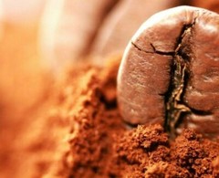Costa Rican Tarrazu Coffee Beans Roasted Daily Medium 5 Pounds In 1 Pound Bags