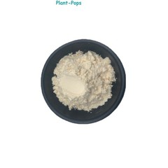100g Pure Black Garlic Extract Powder 10%