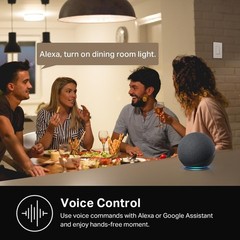 Smart Light Control: Single Pole Switch, 2.4GHz Wi-Fi, Works with Google Home