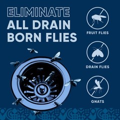 Fruit Fly Drain Treatment | Drain Fly Eliminator | All-Natural Eliminates Gna…