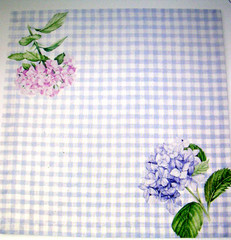 WILLIAMS SONOMA HYDRANGEA GINGHAM NAPKINS 100% COTTON TWILL SET OF 4 FOUR NWTAG