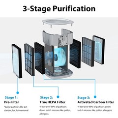 Home Air Purifier for Allergies Pet True HEPA Large Room Air Cleaner Smoke Eater