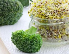 Broccoli Seeds for Sprouting — Kosher, Raw, Vegan — by Food to Live