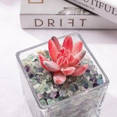 0.5 Lb/230g Fluorite Crystal Chips Stones Decorative Crystal Pebbles, Irregul…