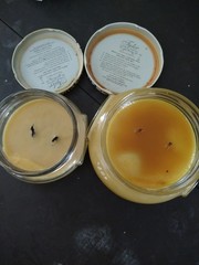 Tyler Candle Co. Fragranced Candles, Variety of scents, Lot of 5