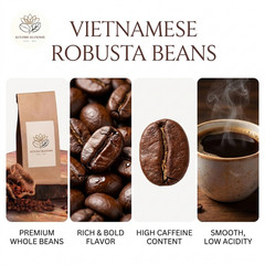 Premium Robusta Coffee Whole Beans – Medium to Dark Roast Coffee from Vietnam
