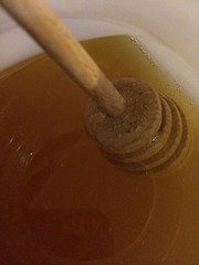 1 Gallon RAW Orange Blossom Honey Pure Natural, non-filtered, Fresh