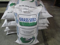 New CONTRACTOR’S MIX GRASS SEED Kentucky 31 Ryegrass Quick Germination Full Sun